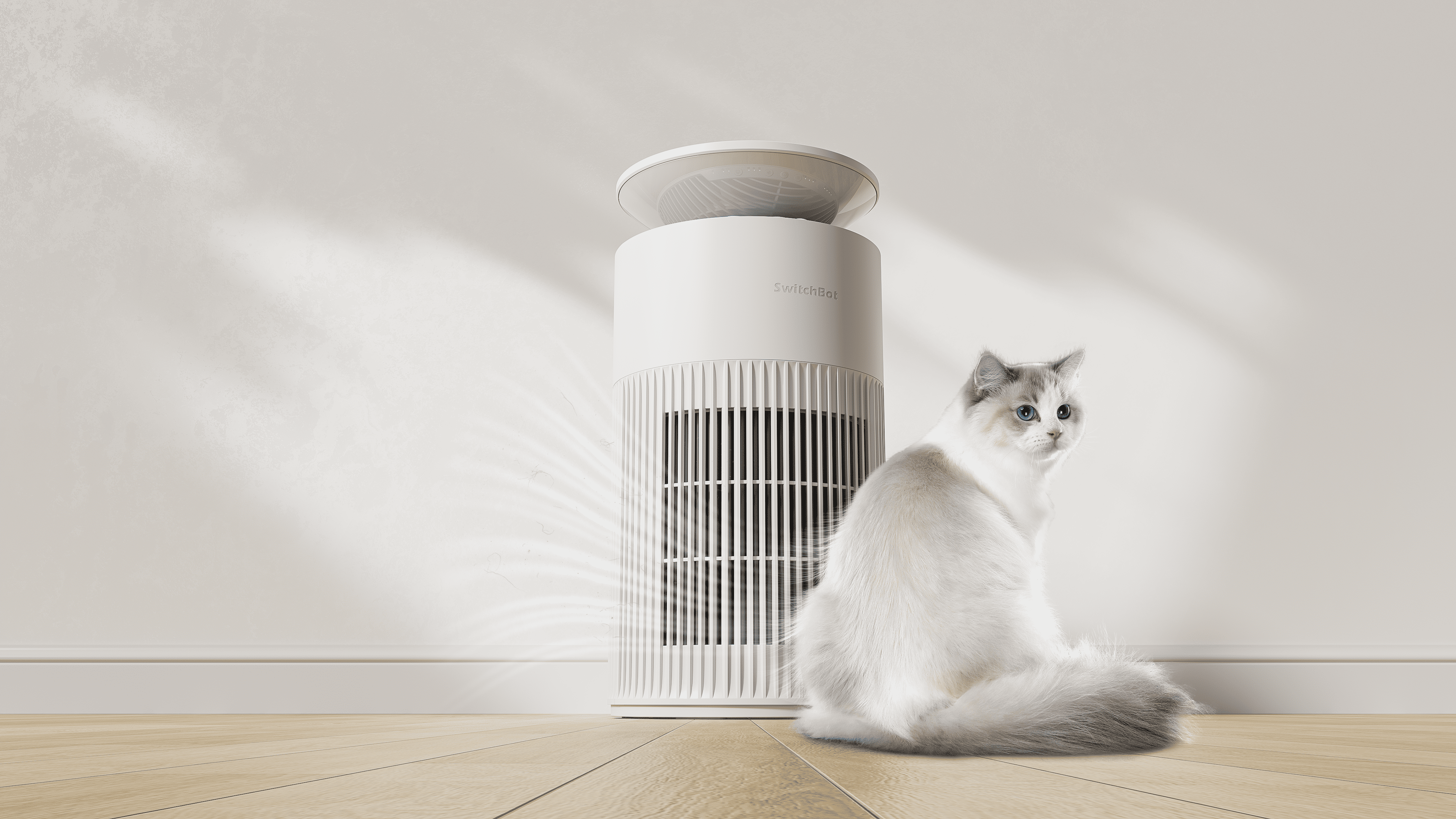 Clean Air Solutions: Best Air Purifiers for Pet Hair and Home Use