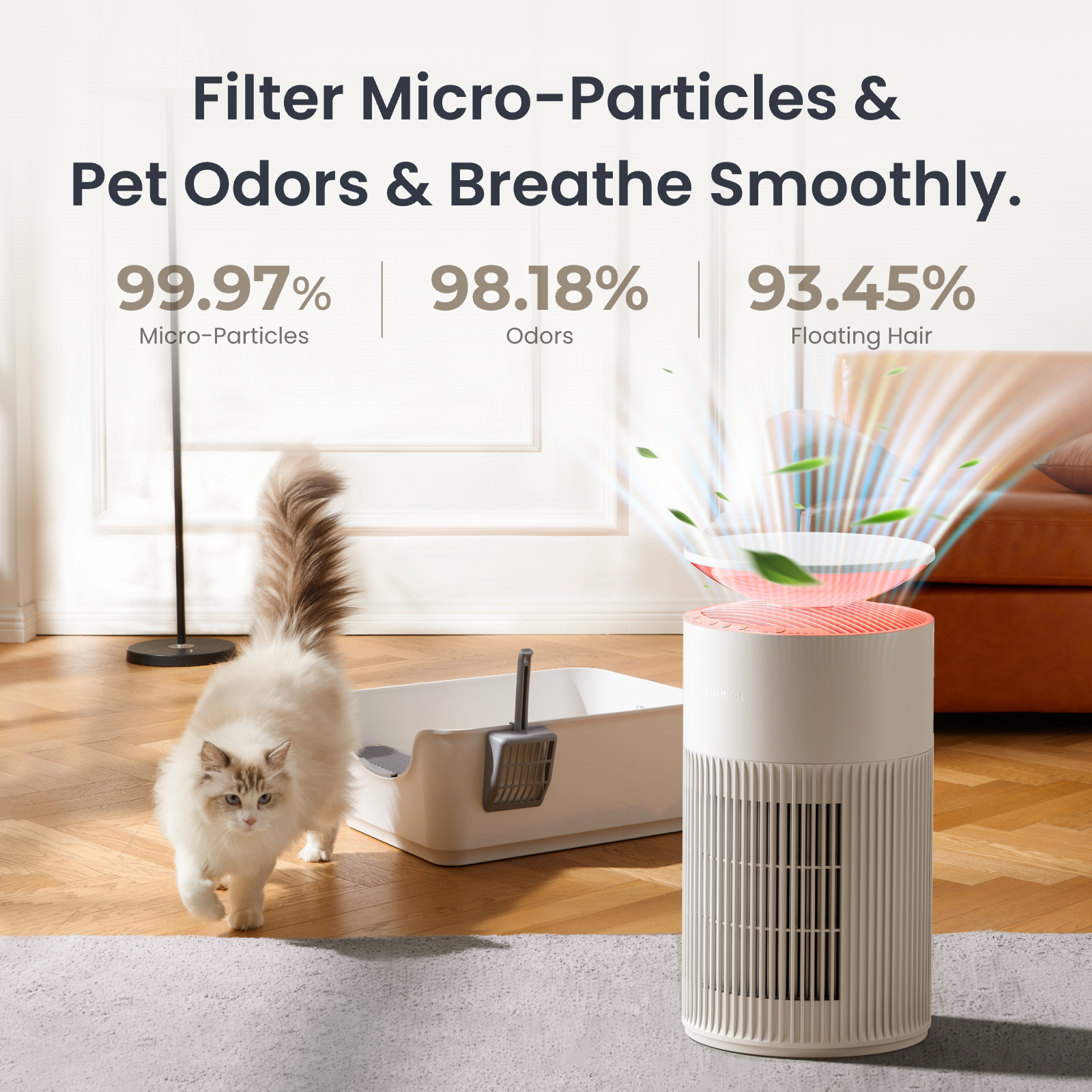 Purificateur d'air de commutateur