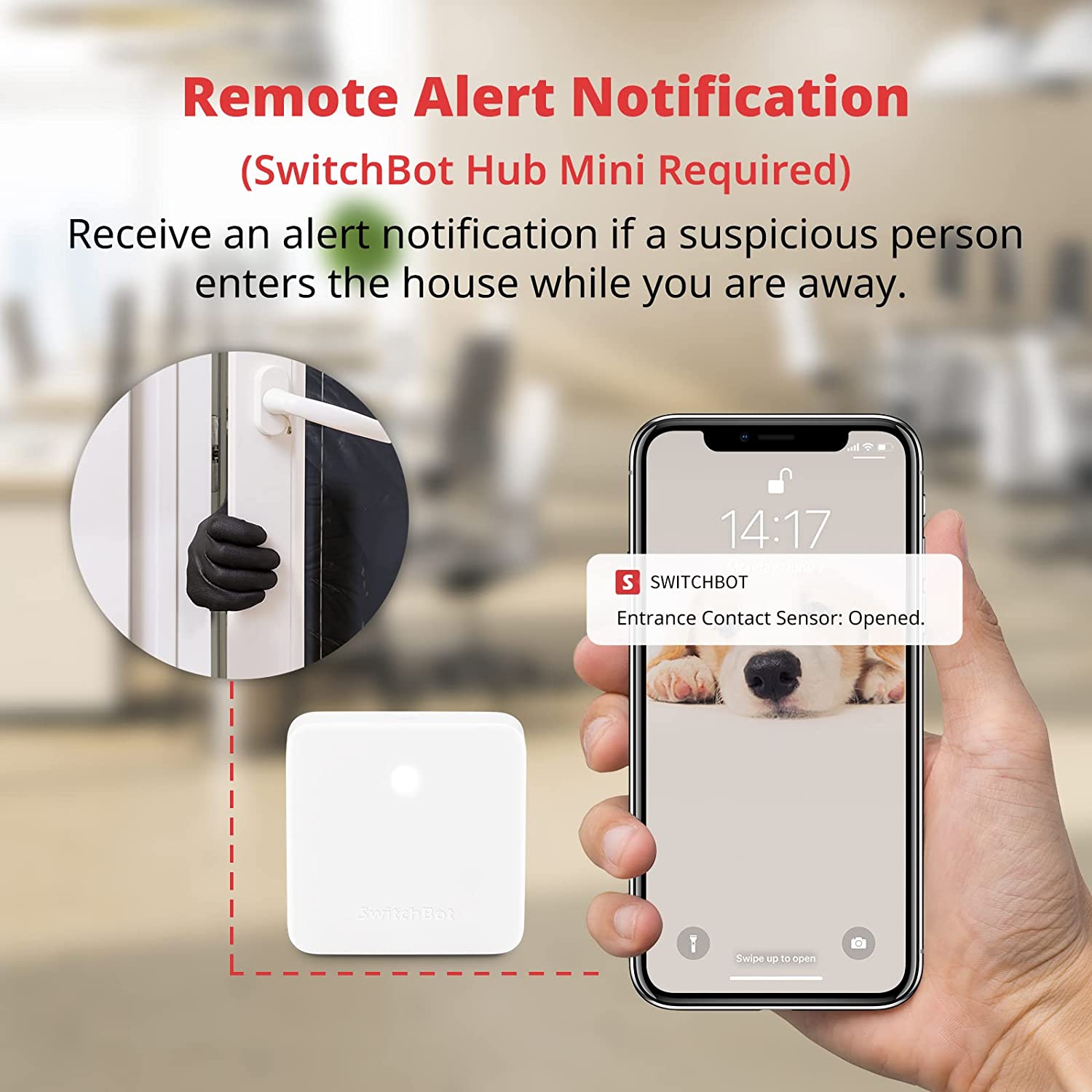 SwitchBot Contact Sensor for Home Security | SwitchBot EU