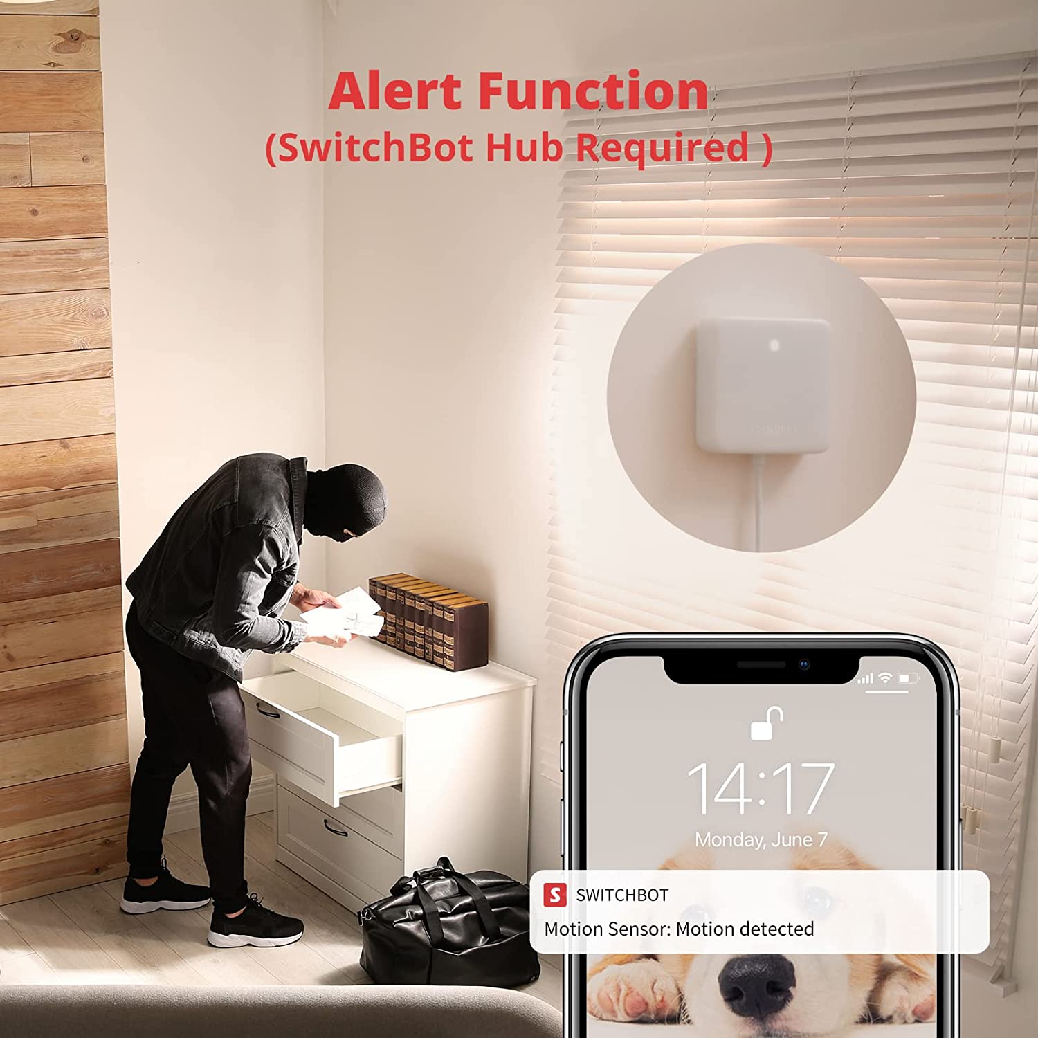 SwitchBot Motion Sensor | Smart Home Automation with 30ft Detection ...